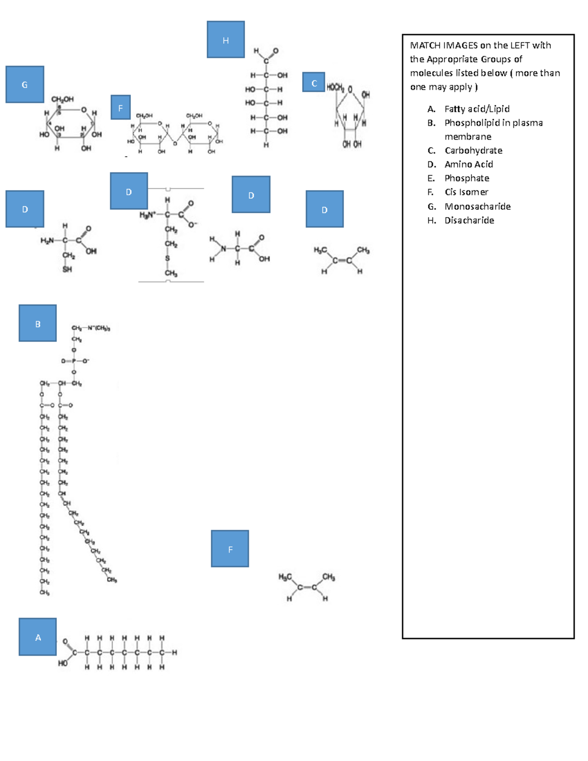 HW-Ch 5-Identify Macromolecules - C MATCH IMAGES on the LEFT with the ...