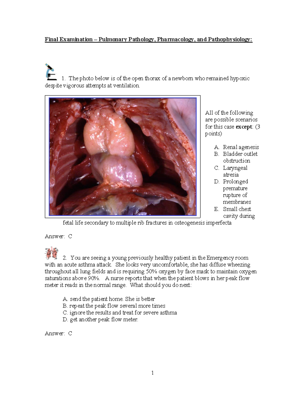 Respiratory System Questions & Answers - Final Examination – Pulmonary ...