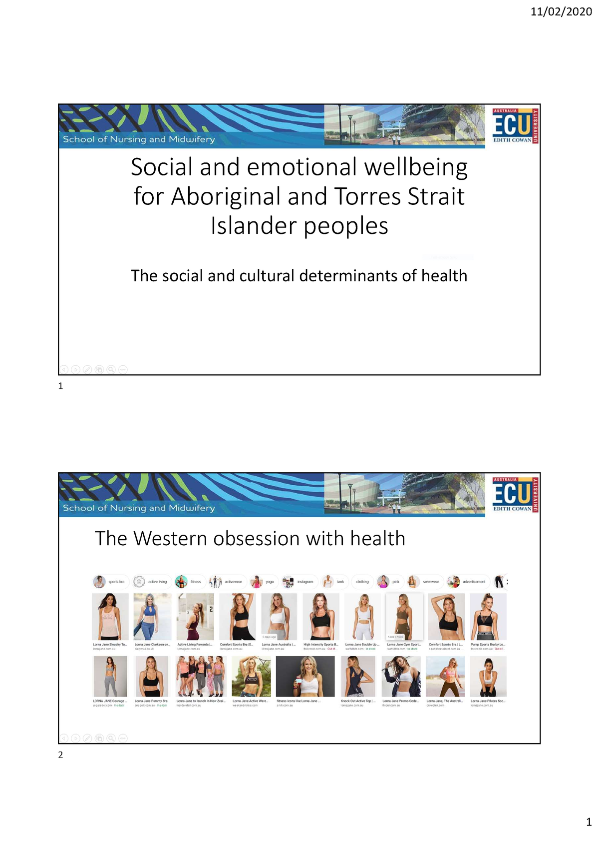 SDo H - Module 2 - Social And Emotional Wellbeing For Aboriginal And ...