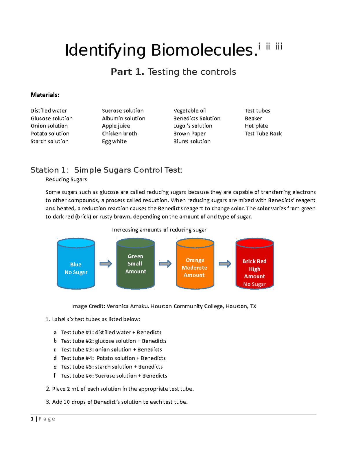 Identifying Biomolecules Lab Activity - Identifying Biomolecules. I Ii ...