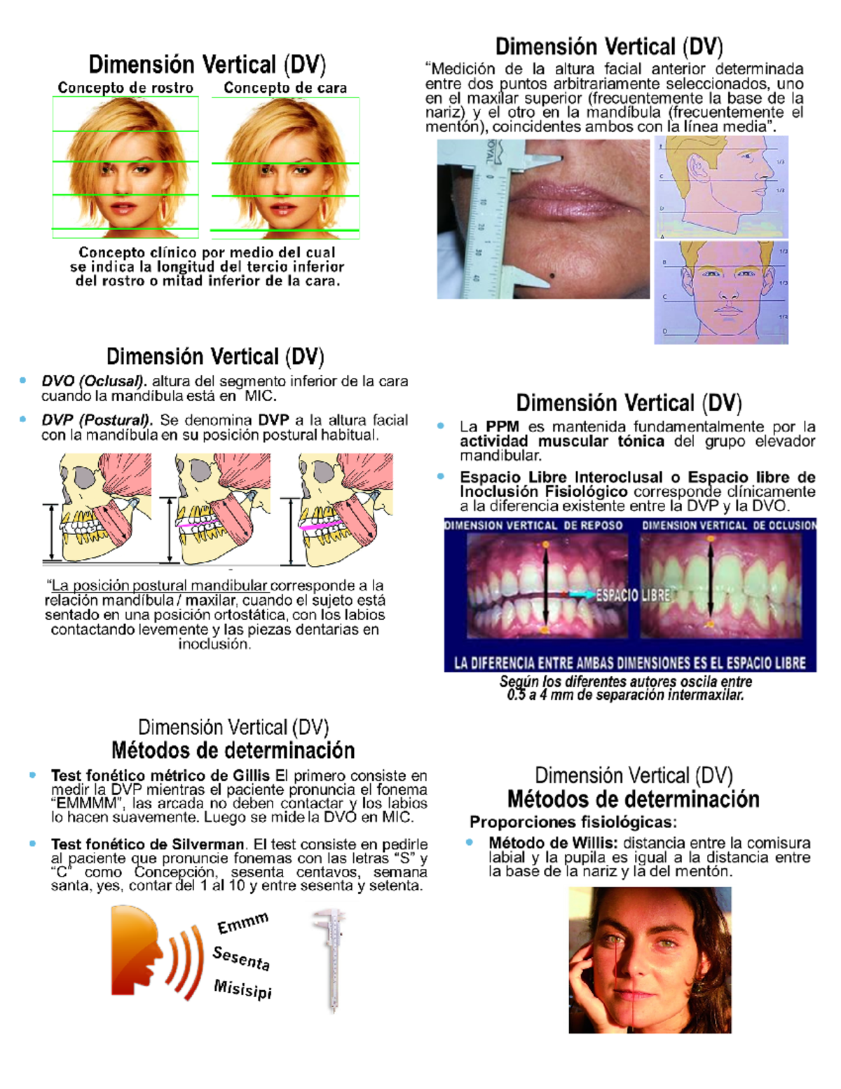 Fisio 1 - Dimensión vertical - Dimensión Vertical (DV) Dimensión ...
