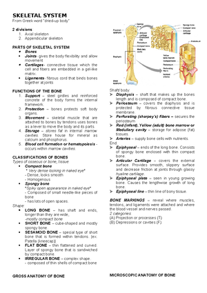 Introduction TO Human Anatomy AND Physiology - INTRODUCTION TO HUMAN ...