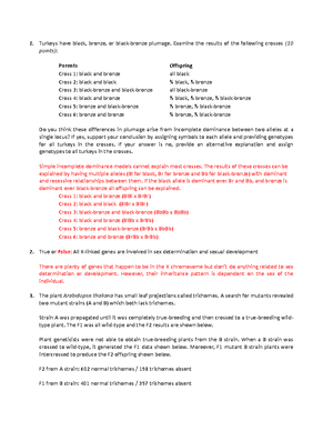 BIO 224 Exam 2 Notes - WEEK 5 Respiratory Systems and Gas Exchangers ...