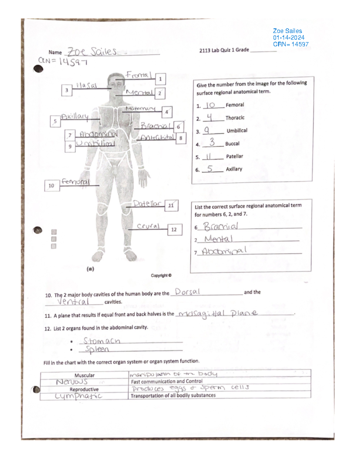 Cell Structure & Division/Microscope Homework - BIOL2114 - Studocu
