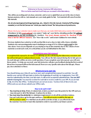 Lab+models+for+Lab+3+Gardner - Brain Here are structures you can see ...