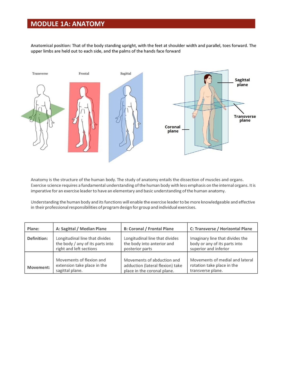 Module 1 Anatomy And Physiology - Module 1a: Anatomy Anatomical 