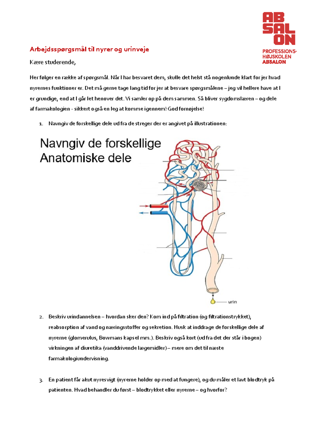 Arbejdsspørgsmål nyrerne - Arbejdsspørgsmål til nyrer og urinveje Kære ...
