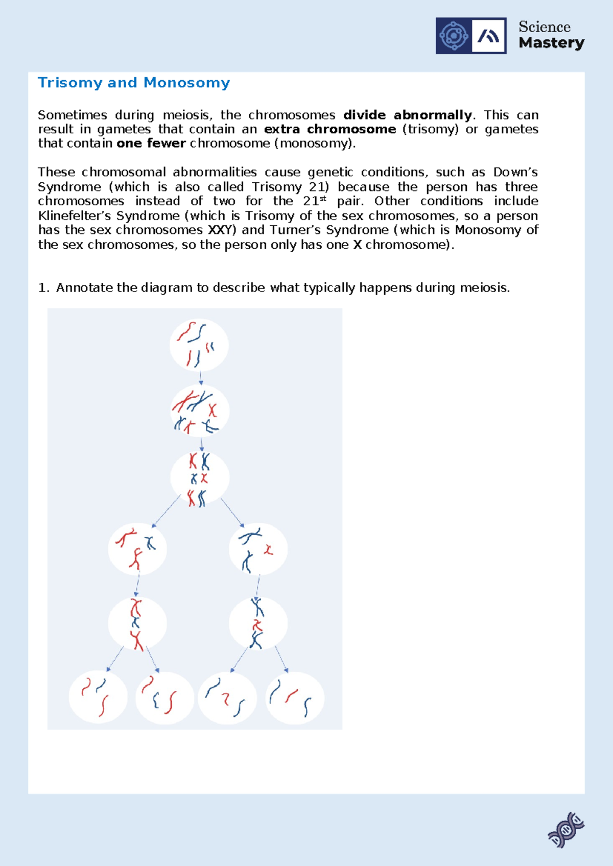 03 B3.3.10 Trisomy and Monosomy - Trisomy and Monosomy Sometimes during ...