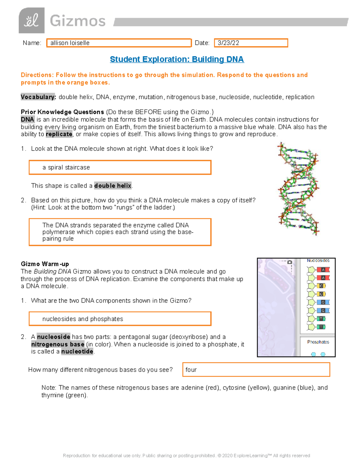 Building DNA Gizmos SE Sheet - Name: allison loiselle Date: 3/23 ...