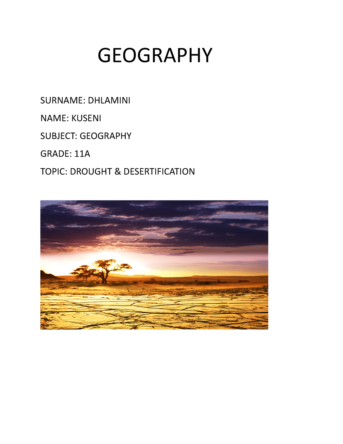 grade 11 research assignment geography