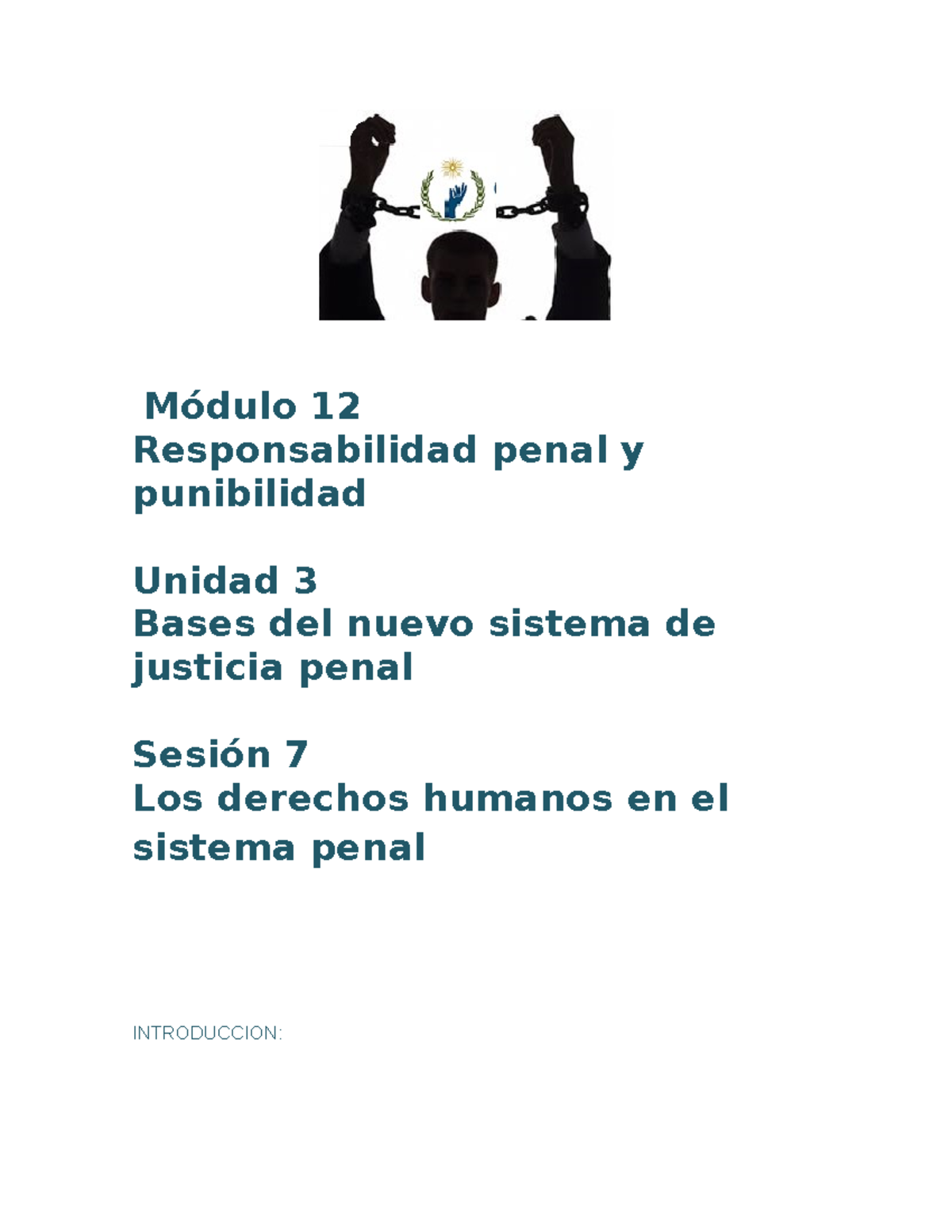 M12 U3 S7 Responsabilidad penal y punibilidad - Módulo 12 ...