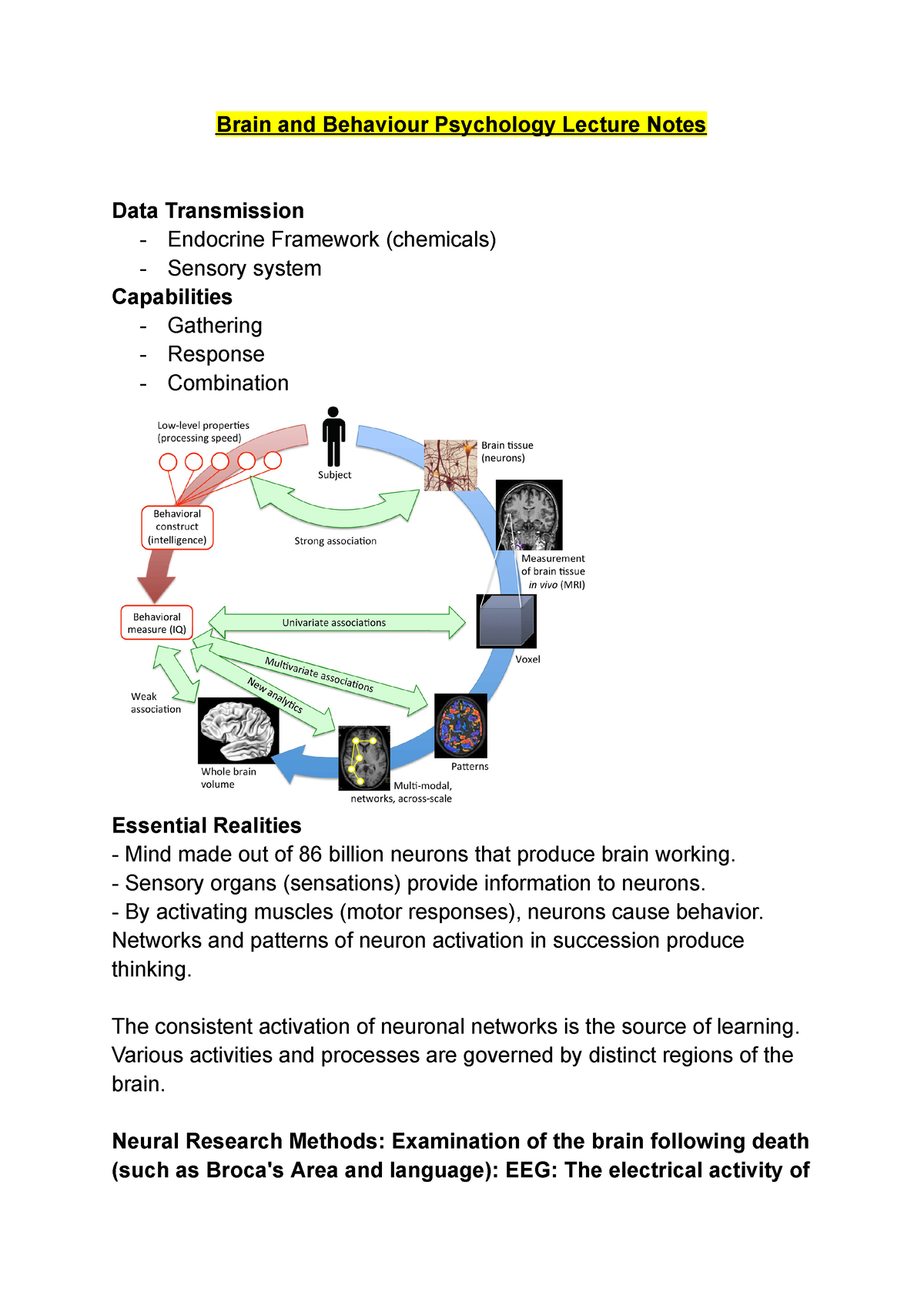 Brain And Behaviour Psychology Lecture Notes - Sensory Organs ...