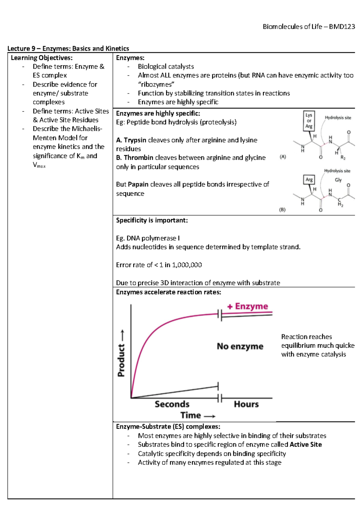 Lecture 9 - Enzymes- Basics and Kinetics - Lecture 9 – Enzymes: Basics ...