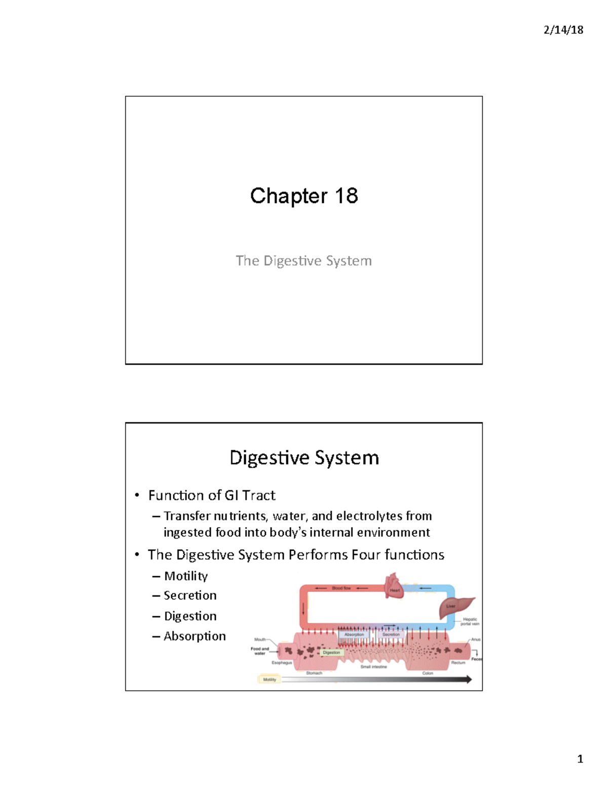 University Of Iowa Course Catalog - f655dmw