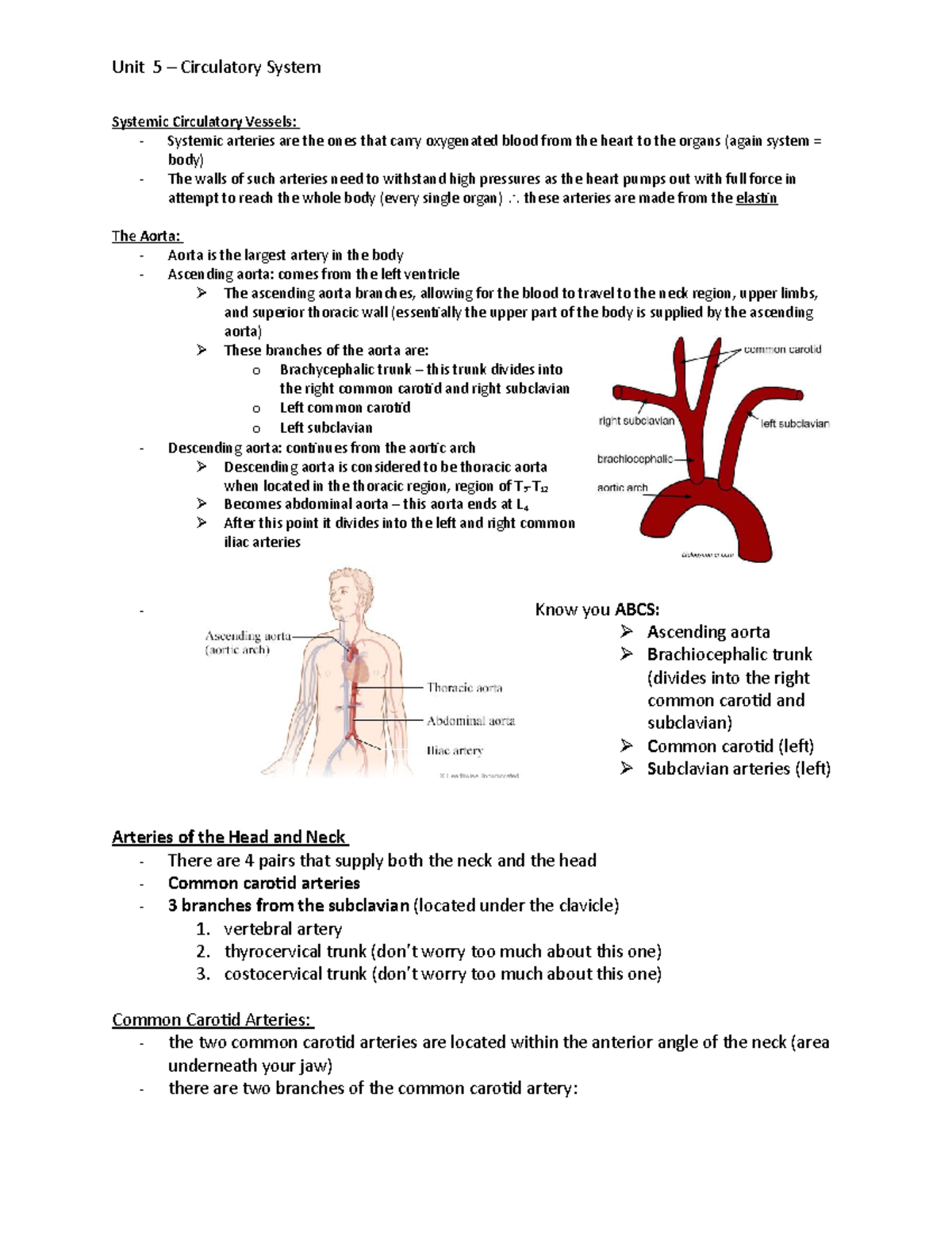 BIOL 301 - unit 5 review 2 - circulatory system - Unit 5 Circulatory ...