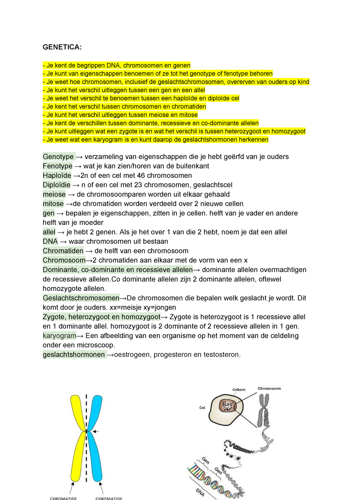 Science Samenvatting Genetica - GENETICA: - Je Kent De Begrippen DNA ...