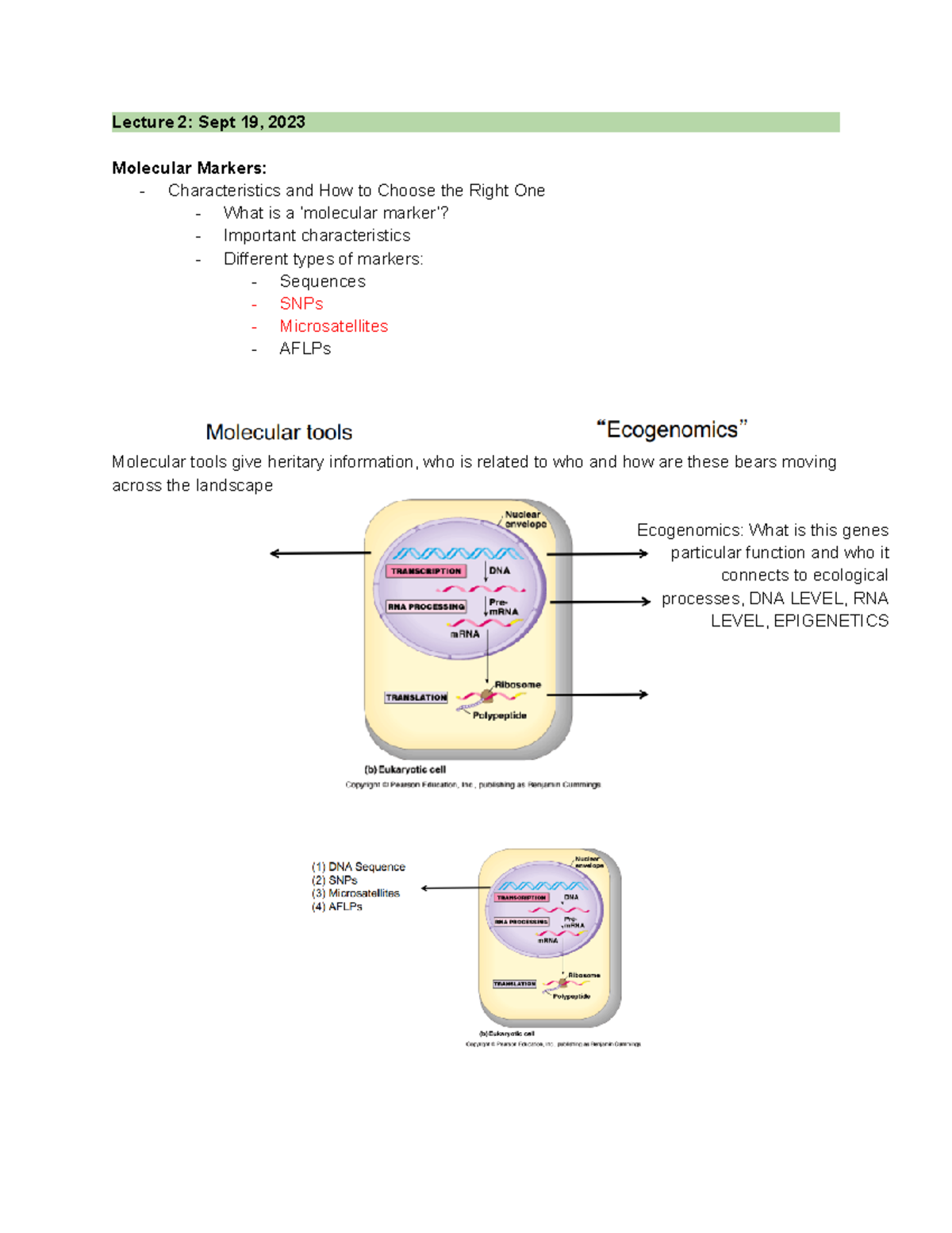 Bio+3444 Lecture 2 - Lecture 2: Sept 19, - Studocu