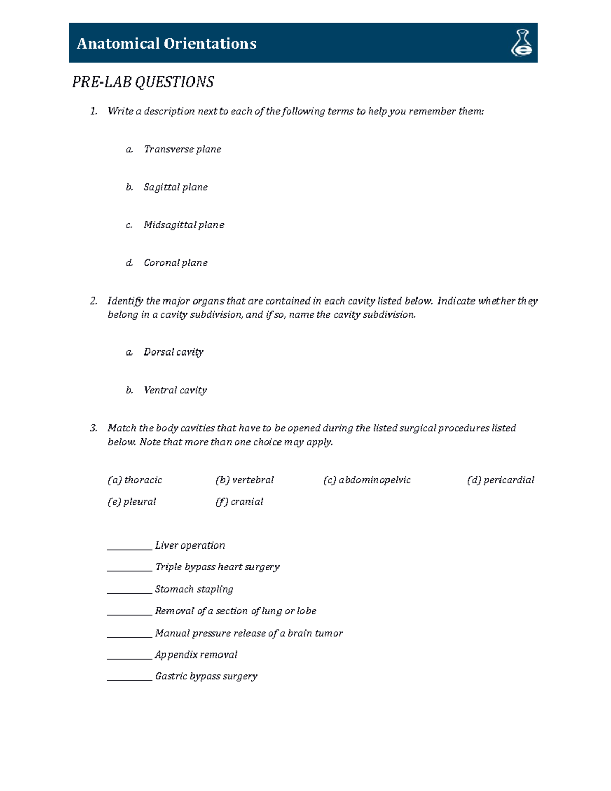 AP 5095 L01 Anatomical Orientations PRELAB QUESTIONS Write a