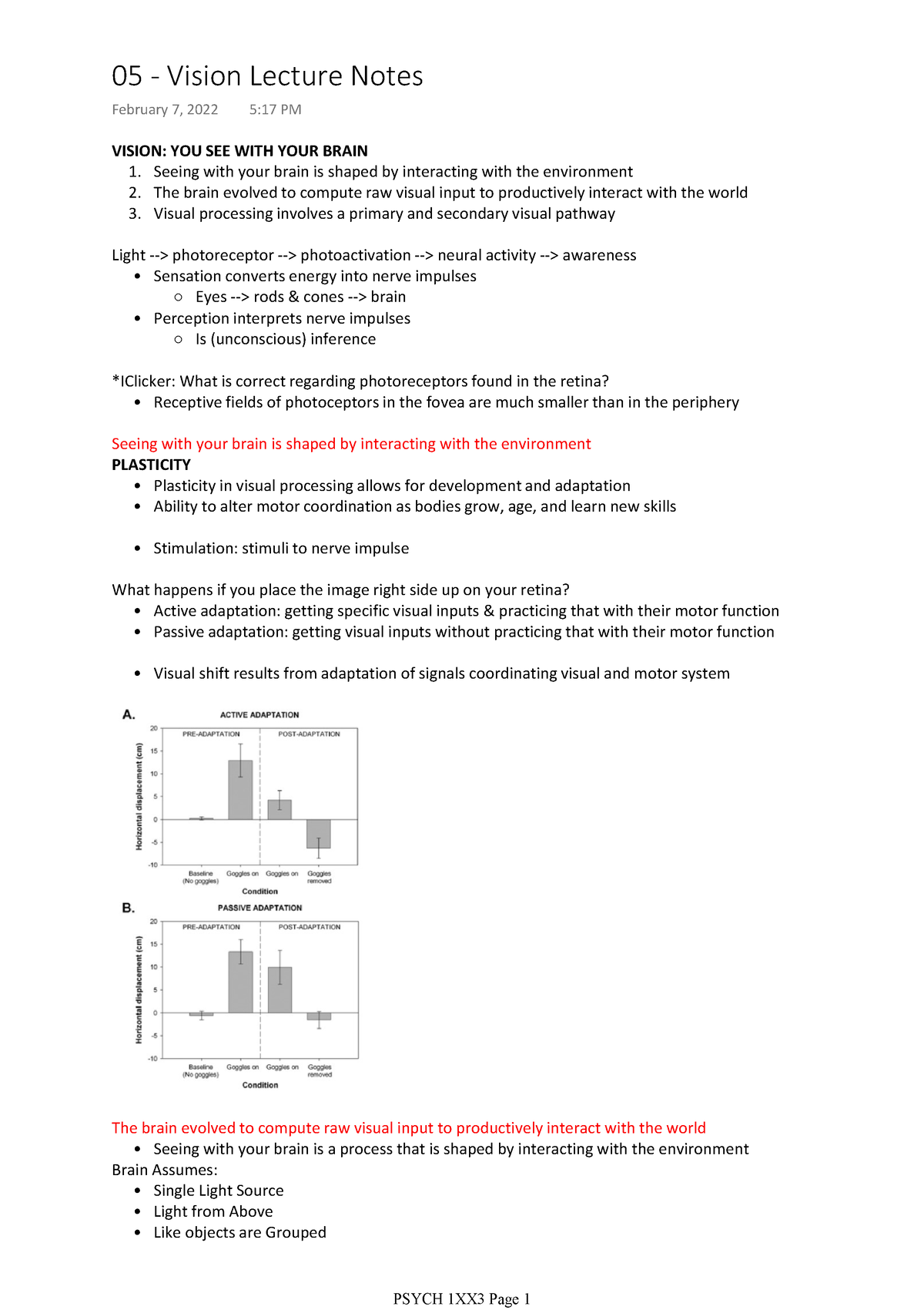 05 - Vision Lecture Notes - VISION: YOU SEE WITH YOUR BRAIN Seeing With ...