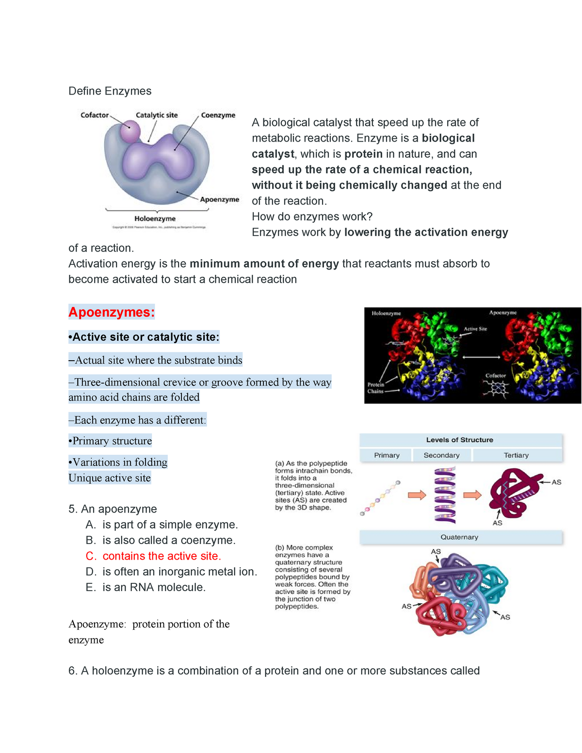 microbiology-lecture-notes-1-3-define-enzymes-a-biological-catalyst