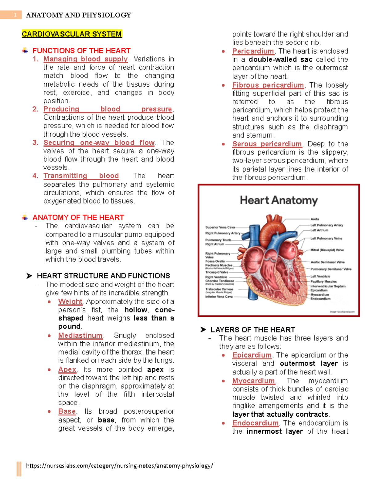 Cardiovascular System - CARDIOVASCULAR SYSTEM FUNCTIONS OF THE HEART ...