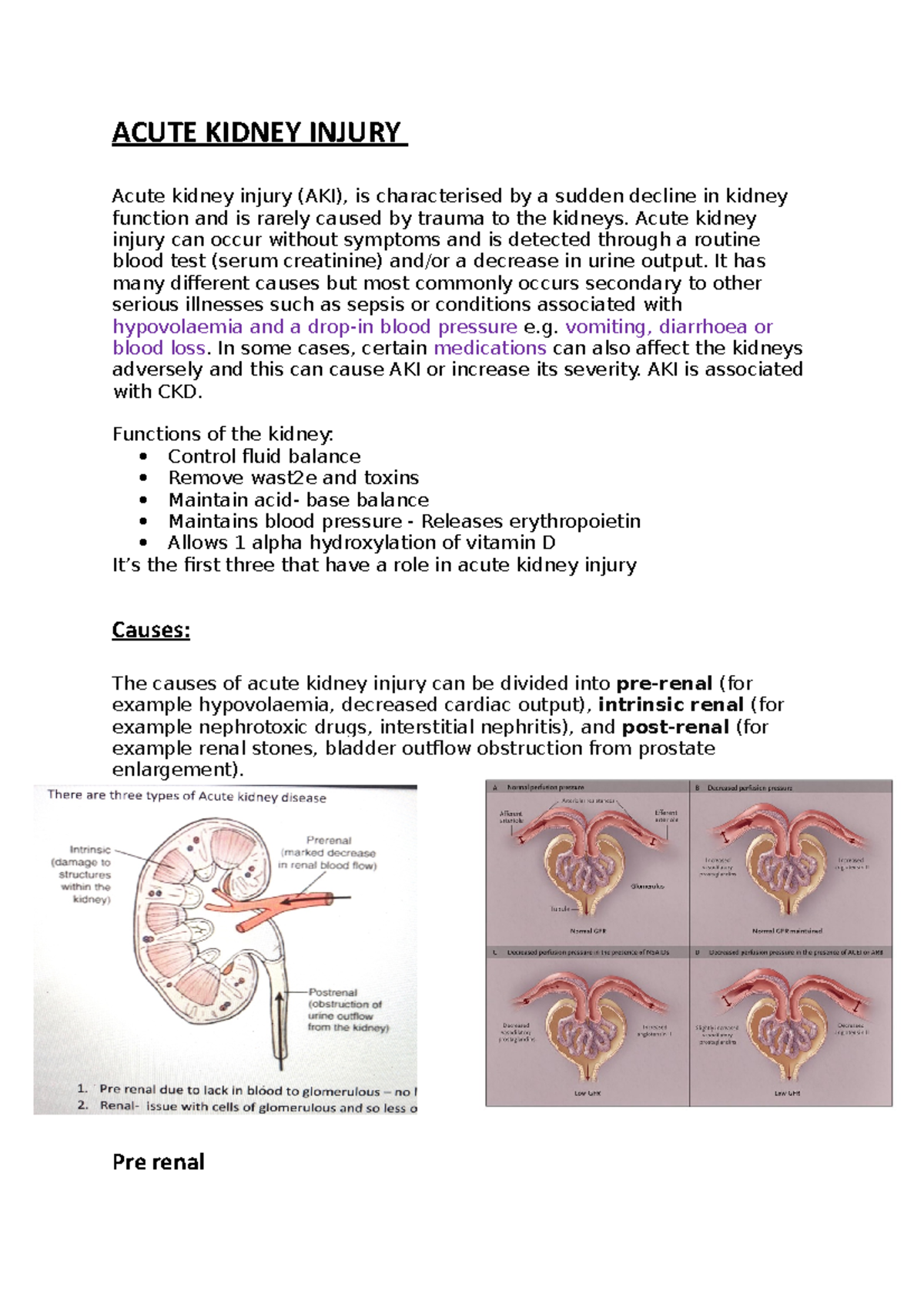 Acute Kidney Injury - AKI causes and management - ACUTE KIDNEY INJURY ...