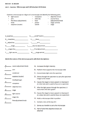 BIO 210 Lab 6 Exercise - answers - BIO 210 Anatomy and Physiology I - D ...