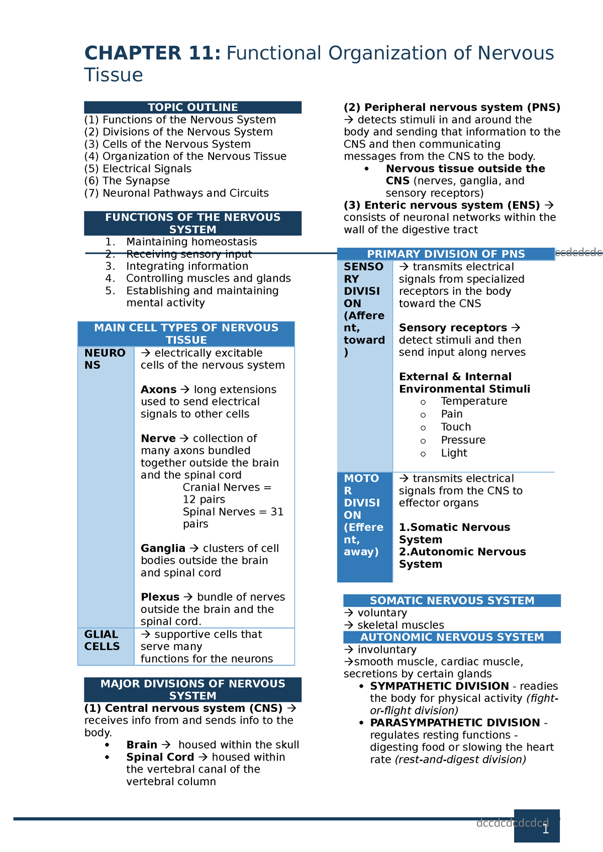 nervous-system-trans-dccdcdcdcdcd-dccdcdcdcd-tissue-topic-outline-1