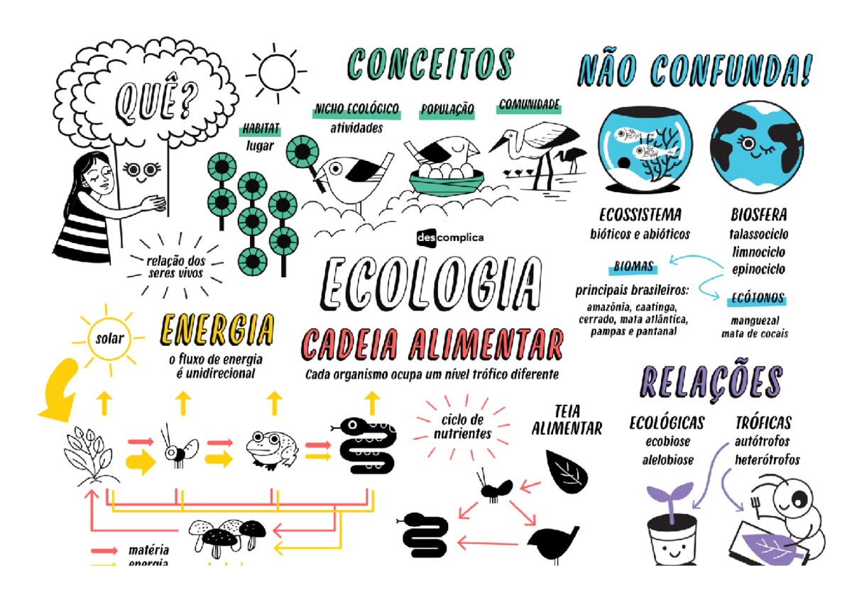 Ecologia - Resumo aula classificação seres vivos - CONCEITOS NÃO ...