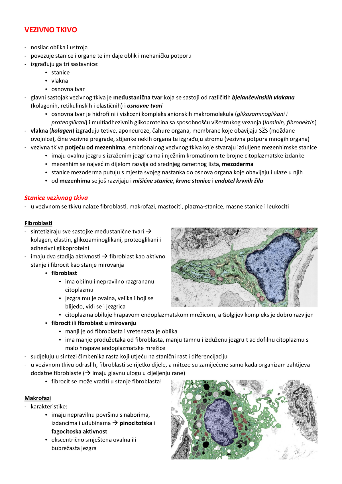 5 Vezivno Tkivo Summary Junqueira S Basic Histology Studocu