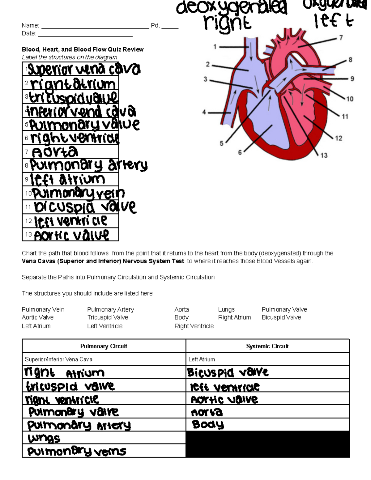 Note Mar 20, 2023 - notes - Name: ________________________________ Pd ...