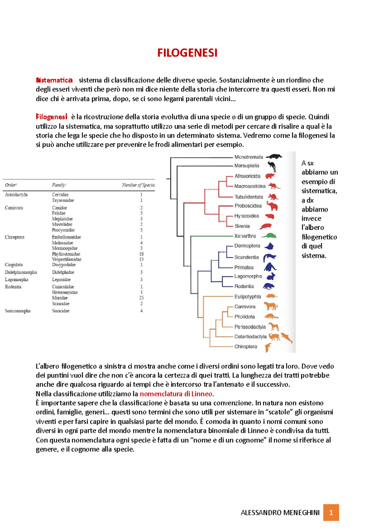 16) Filogenesi - Biologia - FILOGENESI Sistematcaaaaaaaaaaaaa A Sistema ...