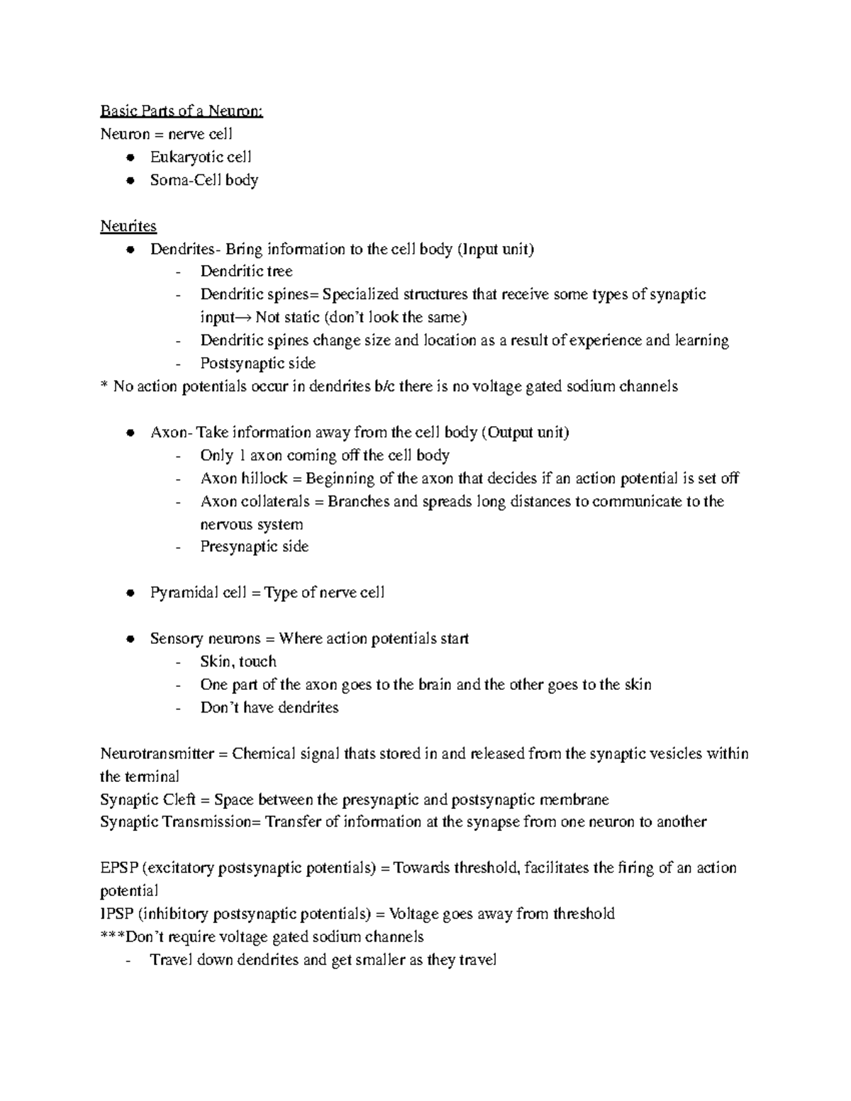 Neuroscience Exam 1 Basic Parts Of A Neuron Neuron Nerve Cell