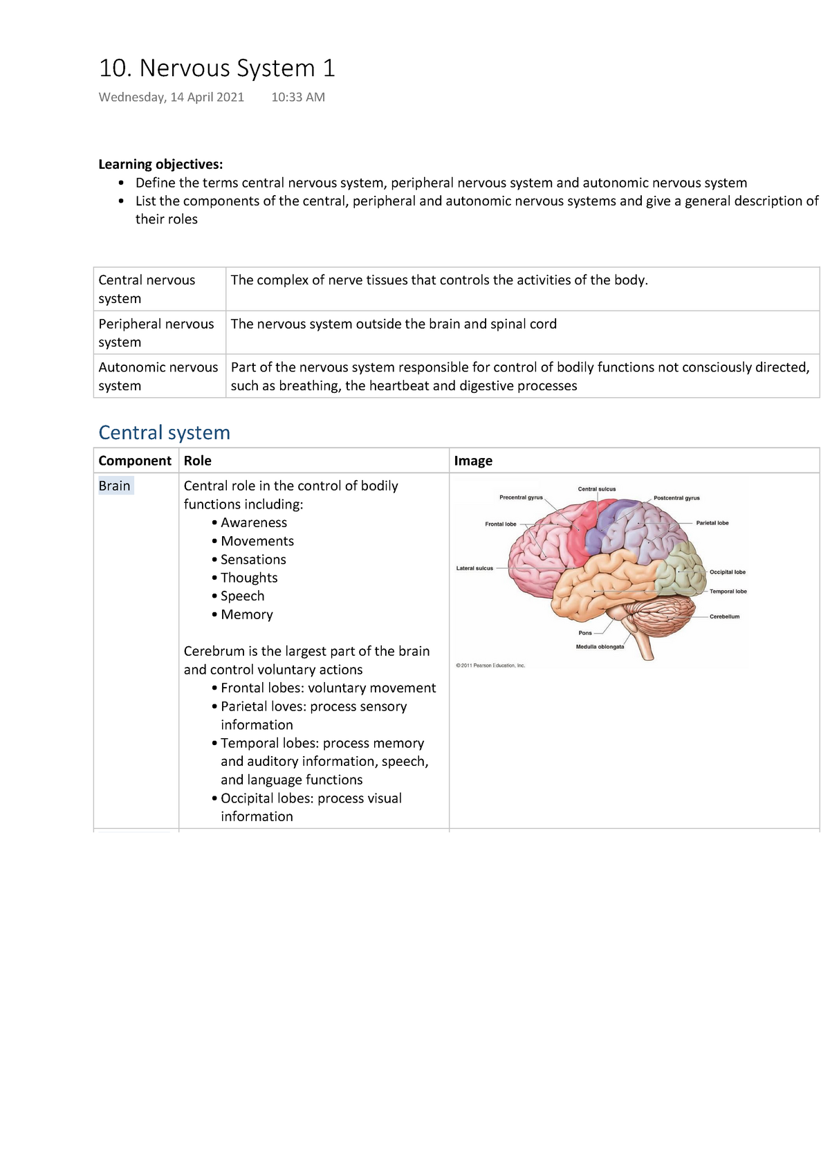 Nervous System - Lecture Notes 10 - BIOL1003 - USyd - Studocu