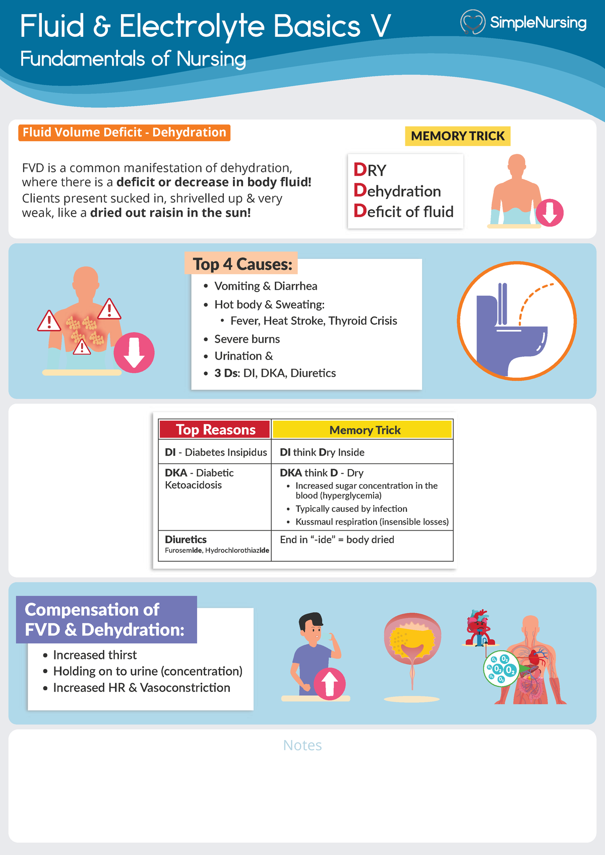 Fluid Volume Deficit - Overview of FVD - Fluid & Electrolyte Basics V ...