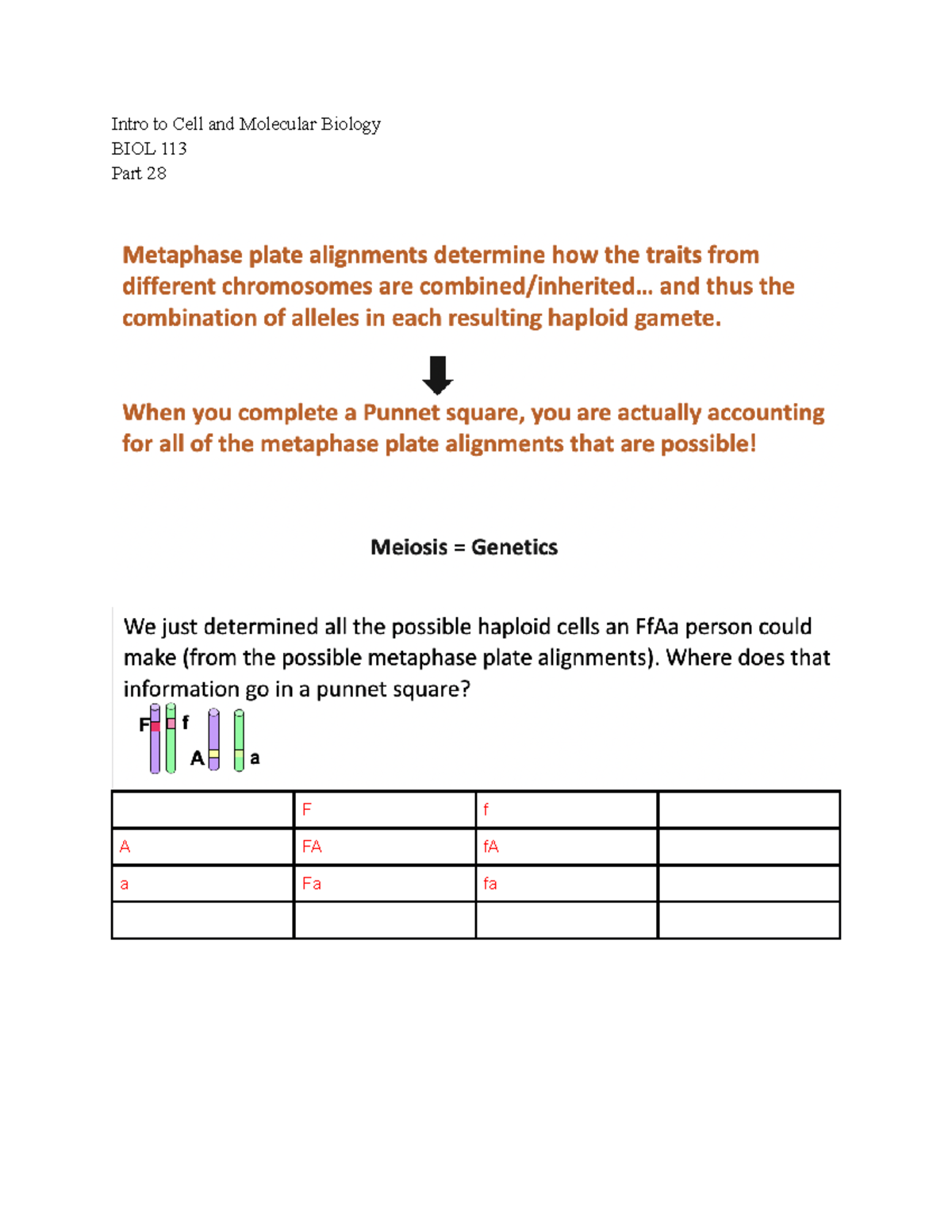 Intro To Cell And Molecular Bio 113 Lecture Notes Part 25 - Dr. Sarah ...