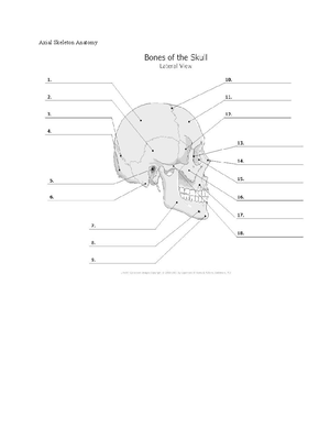 Skeletal Word Problems Decode - Skeletal Word Problems: DECODE : On a ...