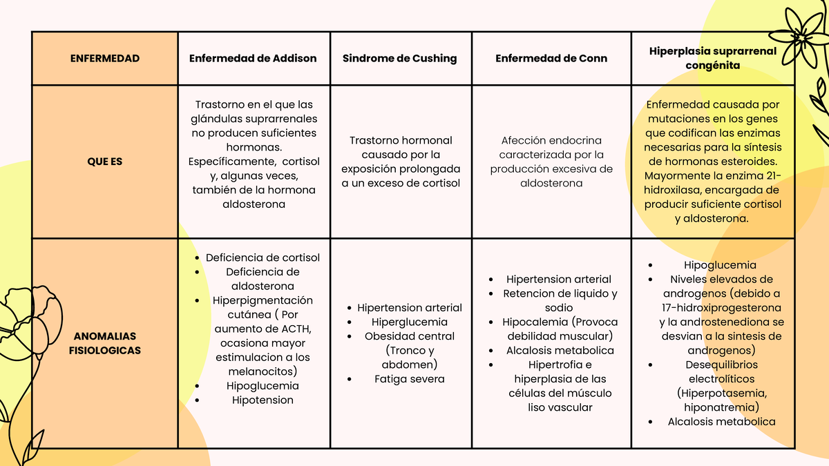 Esquemas suprarrenal - ENFERMEDAD Enfermedad de Addison Sindrome de ...