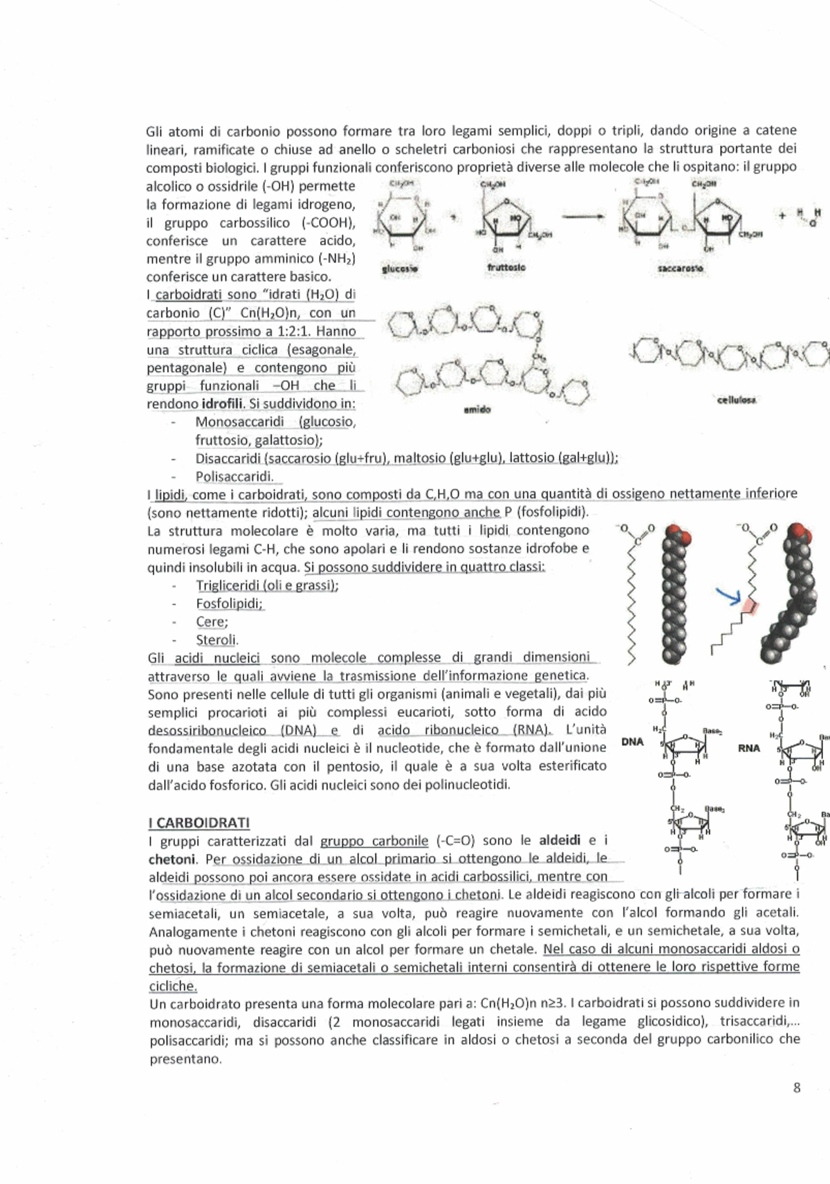 Biochimica generale Scienze biologiche Studocu