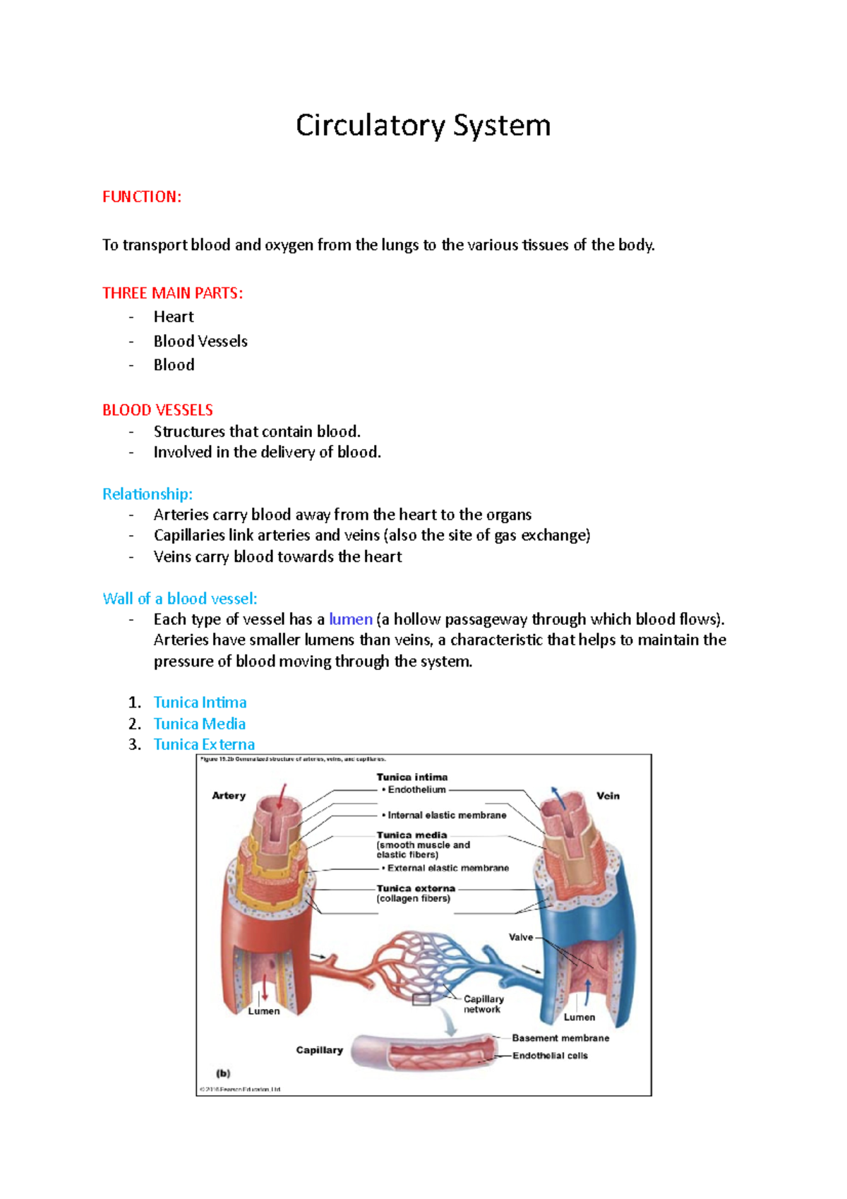 Circulatory System - THREE MAIN PARTS: Heart Blood Vessels Blood BLOOD ...