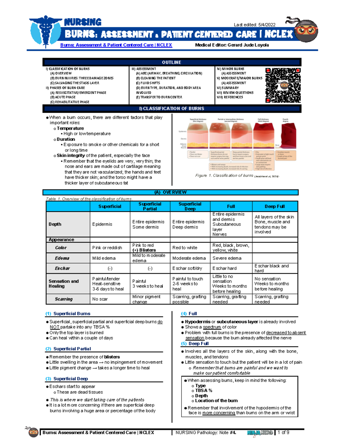 2013 0040 Nursing Pathology 004 Burns Assessment & Patient Care Nclex ...