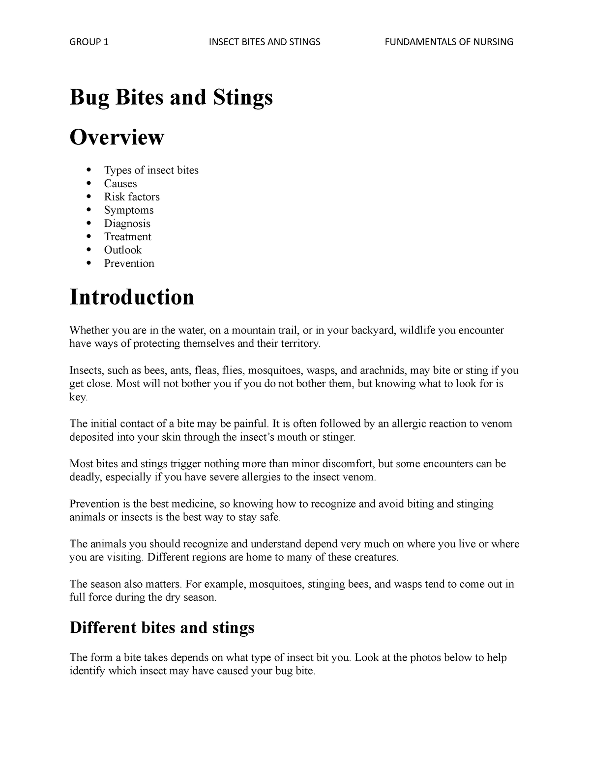 bug-bites-and-stings-introduction-bug-bites-and-stings-overview