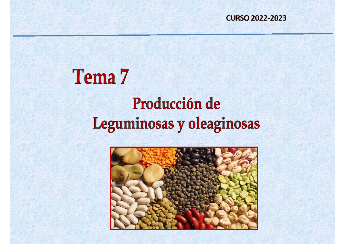 Tema 7 Leguminosas Y Oleaginosas 2023 Curso 2022 ‐ Productos Ricos