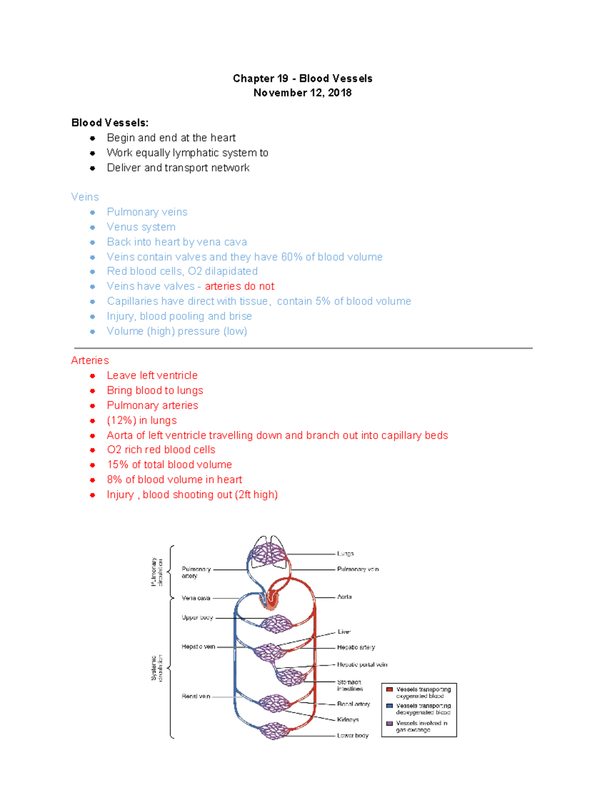 Chapter 19 - Blood Vessels - Chapter 19 - Blood Vessels November 12 ...
