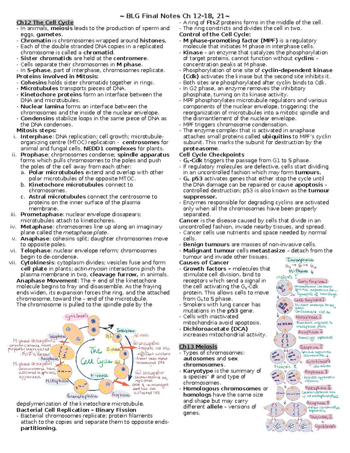 BIO Final Notes - ~ BLG Final Notes Ch 12-18, 21~ Ch12 The Cell Cycle ...