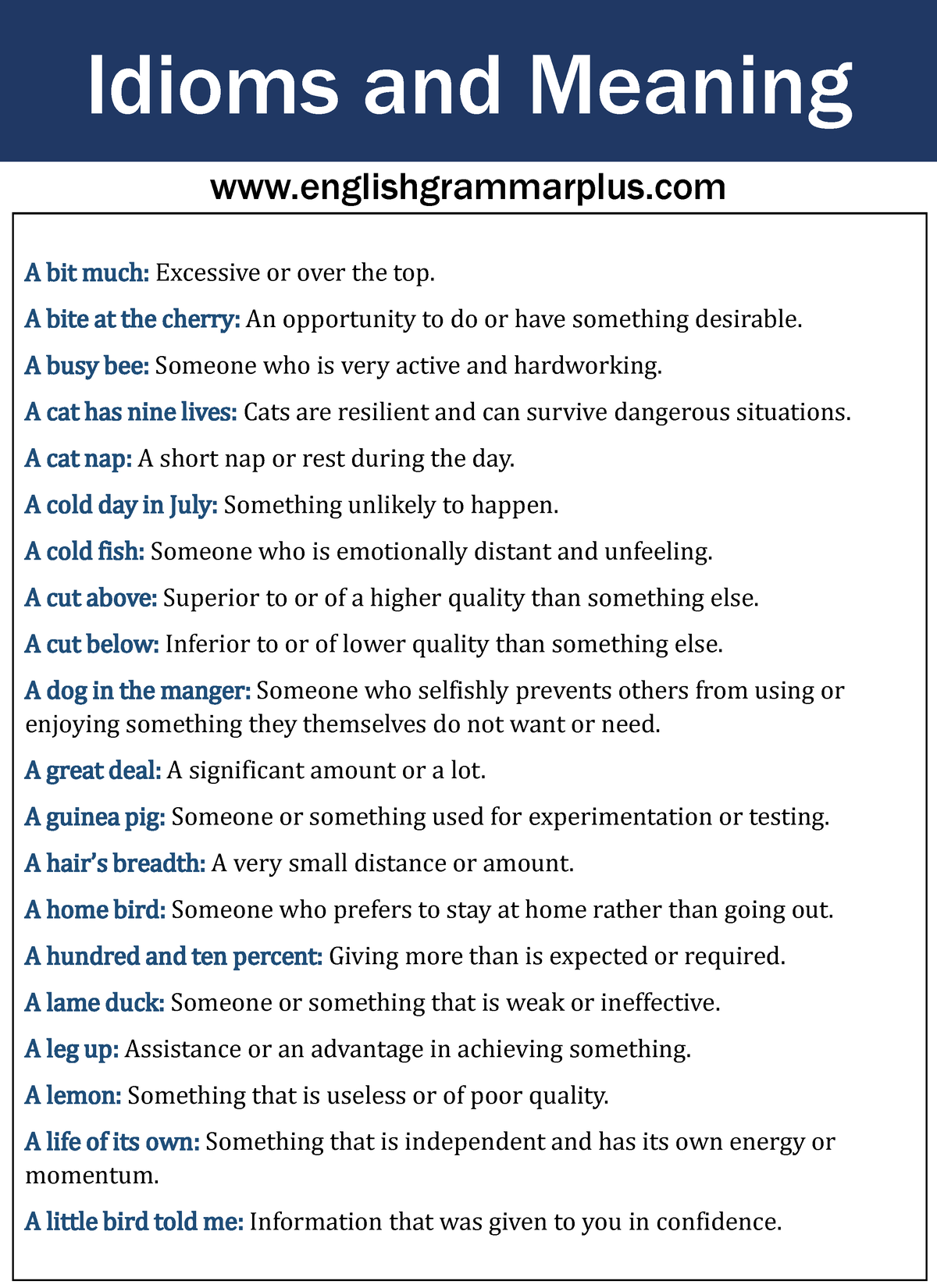 Idioms and Meaning PDF - Memorandum - A bit much: Excessive or over the ...