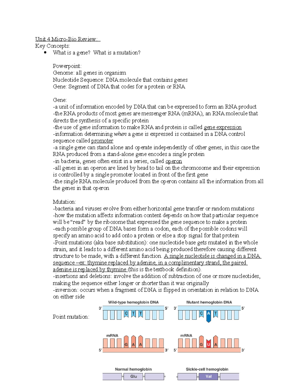 Micro Unit 4 Review Unit 4 Micro Bio Review Key Concepts What Is A