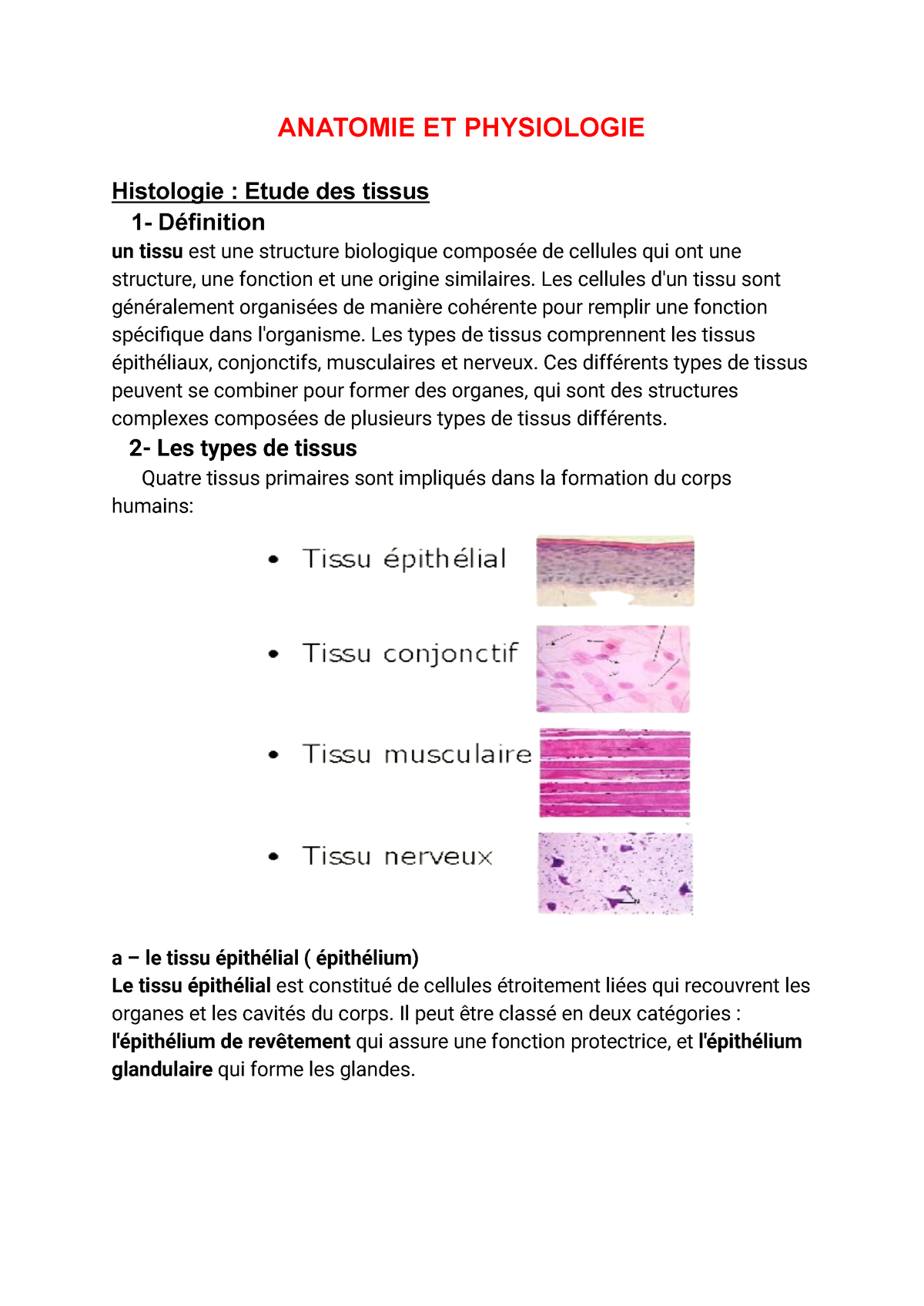 Histologie (étude De L'histologie) - ANATOMIE ET PHYSIOLOGIE Histologie ...