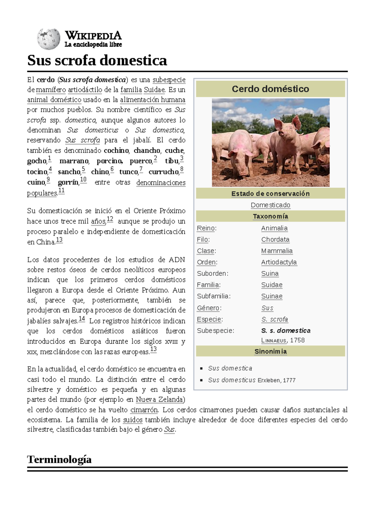 Sus scrofa domestica - animales - Cerdo doméstico Estado de ...