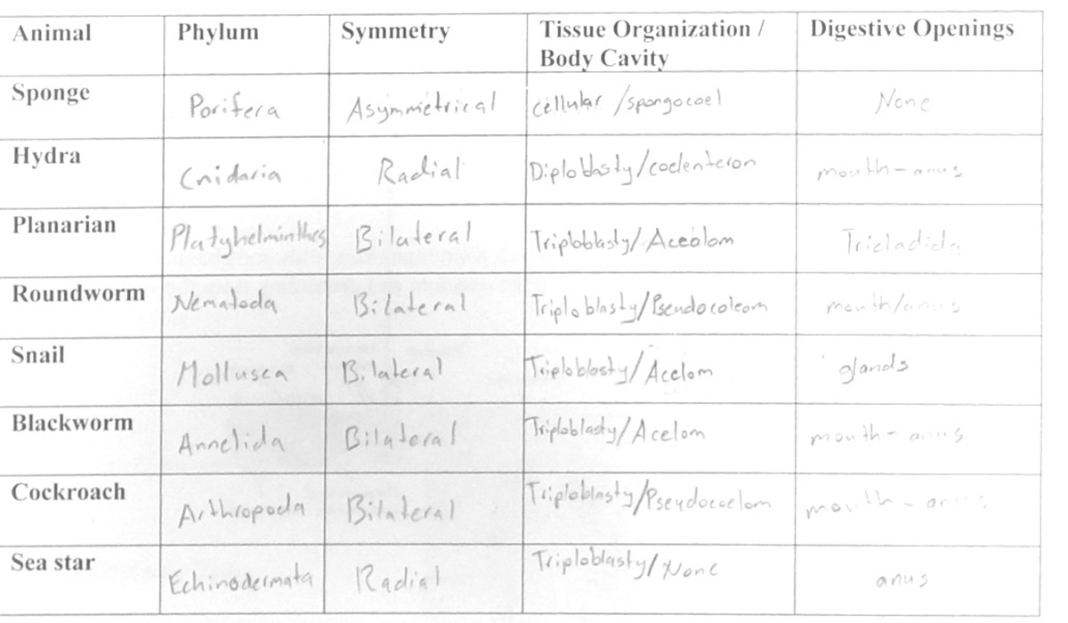 Bio 205 Quiz 7 Wuiz Bio 2112 Studocu